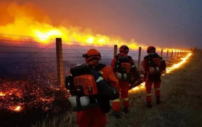 嚴防森林火災，守牢紅線底線