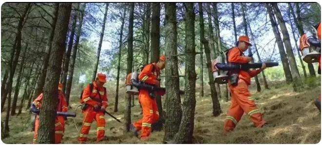 全市森林草原防火期結(jié)束，嵩明持續(xù)筑牢森林“防火墻”